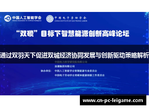 通过双羽天下促进双城经济协同发展与创新驱动策略解析