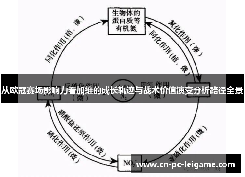 从欧冠赛场影响力看加维的成长轨迹与战术价值演变分析路径全景