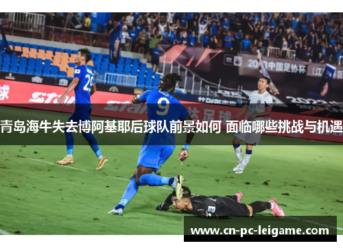 青岛海牛失去博阿基耶后球队前景如何 面临哪些挑战与机遇 青岛海牛失去博阿基耶后球队前景如何 面临哪些挑战与机遇